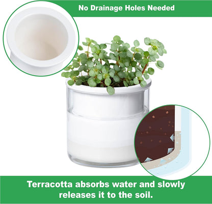 Phoenix Vine 4 Inch Self Watering Planter Pot, Design White Terracotta Pots for Plants, Indoor Cylinder Terra Cotta Pots with Glass Vase, Set of 1, 51-B-E-1
