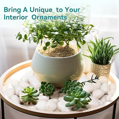 15 lbs White Rocks for Landscaping, 1-2 inch Decorative Rocks for Plants Indoor, Large Polished River Rocks for Garden, Outdoor Landscaping, Walkways, Yard, Plants Pots, Vases, Crafts