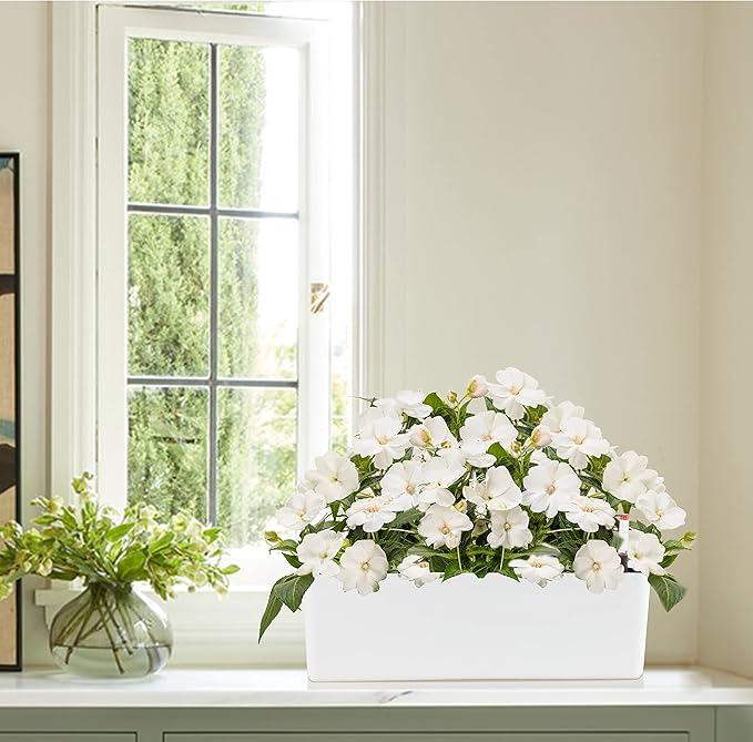 GardenBasix Elongated Self Watering Planter Pots 2-Pack Window Box 5.5 x 16 inch Indoor Home Garden Modern Decorative Planter Pot for All House Plants Flowers Herbs (White,2)