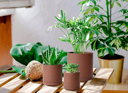 D'vine Dev Rust Terracotta Pots for Plants, 4.2 Inch 5.3 Inch 6.5 Inch, Succulent Planter Pot with Drainage and Saucer, 40-T-A-3