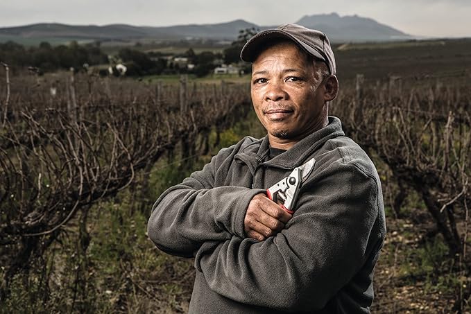 Felco F-12 Pruning Shears – 7.9" Garden Clippers with Anvil & Bypass Blades | Hand Pruners for Gardening | Garden Tool Cutter with Forged Aluminum Handle, Alloy Steel Blade, Medium Hand Fit