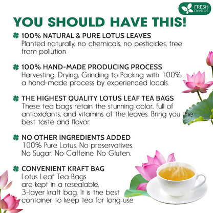 FreshDrinkUS, Premium 75 Lotus Leaf Tea Bags, 100% Natural & Pure from Lotus Leaves. Loose Leaf Lotus Herbal Tea. Made with Eco-Conscious Tea Bags. No Sugar, No Caffeine, No Gluten, Vegan.