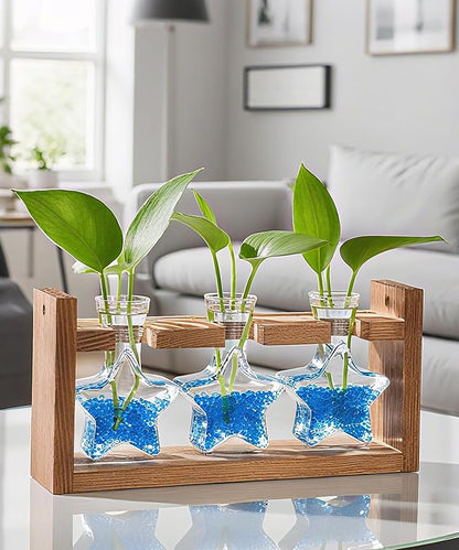 Nacome Star Glass Propagation Stations: Plant Terrarium with Wooden Stand Vase for Home Office Desk Decor, Unique Gifts for Plant Lovers Women Mom