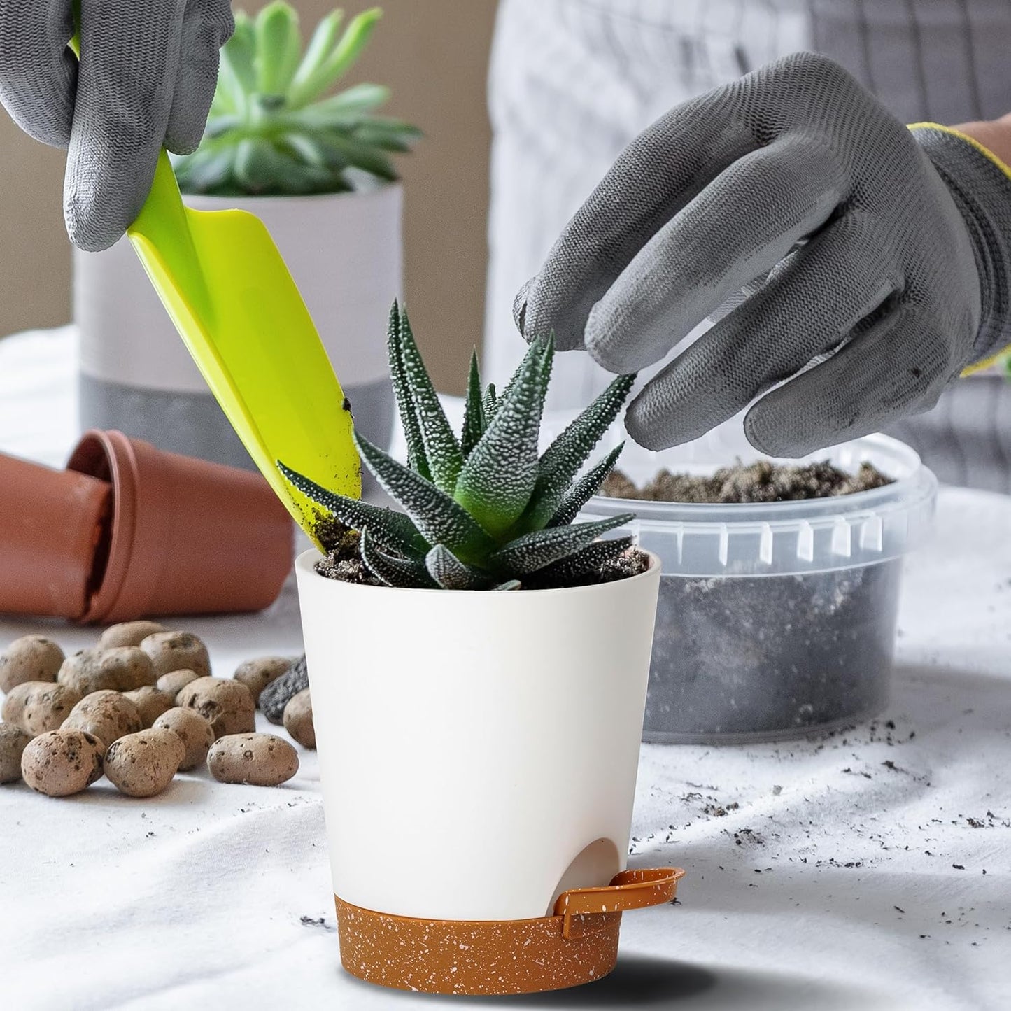 4 inch Small Plant Pots for Outdoor Indoor Plants, 10 Pack Planters with Drainage Holes and Tray, Small Self Watering Pots for Succulent,Cactus, Aloe and Other Plants. (White)