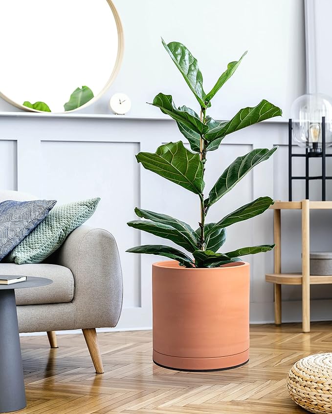 D'vine Dev X-Large 12 Inch Terracotta Plant Pot with Drainage Hole and Saucer, Round Cylinder Planter Pot for Indoor Plants, 40-X-A-6