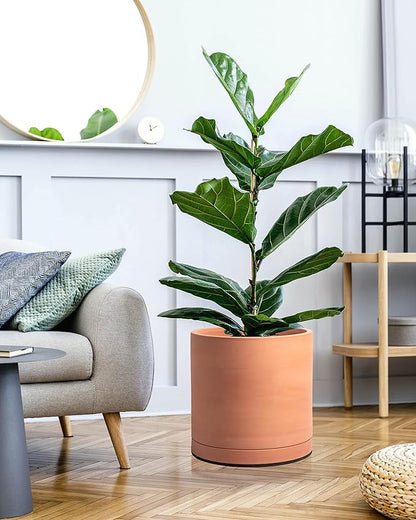 D'vine Dev X-Large 12 Inch Terracotta Plant Pot with Drainage Hole and Saucer, Round Cylinder Planter Pot for Indoor Plants, 40-X-A-6