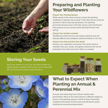 Eden Brothers Singin The Blues Wildflower Mixed Seeds for Planting, 1 lb, 480,000+ Seeds with Blue Flax, Lupine, Chicory | Attracts Pollinators, Plant in Spring or Fall, Zones 3, 4, 5, 6, 7, 8, 9, 10
