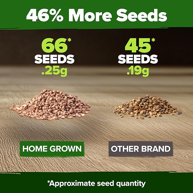 HOME GROWN San Marzano Tomato Seeds – 66 Heirloom, 𝗡𝗢𝗡-𝗚𝗠𝗢, 𝗨𝗦𝗔-𝗦𝗢𝗨𝗥𝗖𝗘𝗗 Seeds – High Germination Tomatoes for Indoor & Outdoor Growing – Classic Paste Variety for Gardeners & Home Use