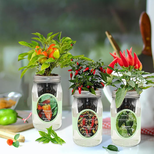 Hydroponic Mason Jar Indoor Garden Organic Seed Starter Kits - Pepper Trio Garden Growing Kits, Gardening Gift (Sweet Nardello Pepper, Jalapeño Early Pepper, Sweet Pickle Pepper)
