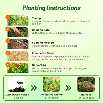 Outsidepride Dundale Spring Field Peas Seeds - 50 lbs. Annual, High-Protein Legume & Cover Crop Seeds for Forage, Food Plot, Gardens & Pastures - Ideal for Improving Soil Health, & Erosion Control