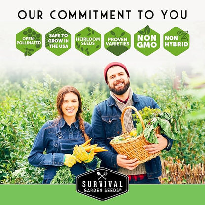 Southern Giant Mustard Green Seeds for Planting – Heirloom Non-GMO Spicy Greens, Heat Tolerant and Slow to Bolt for Home Vegetable Gardens - Survival Garden Seeds (2 Packs)