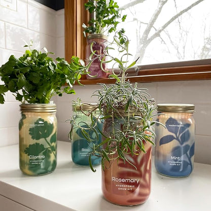 Modern Sprout Mason Garden Jar - Self-Watering Hydroponics Growing System Kit with Organic Herb Seeds - Jar Planter for Indoor Herb Garden - Seed Starter Kit - Home Decor & Gifting - Rosemary