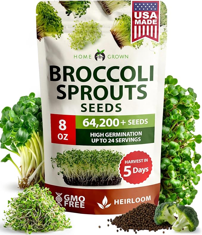 HOME GROWN Broccoli Seeds 8 oz - for Sprouting or Microgreens 𝗡𝗢𝗡-𝗚𝗠𝗢 𝗨𝗦𝗔-𝗦𝗢𝗨𝗥𝗖𝗘𝗗 High Germination Sprout Seeds Nutritious Micro Greens - Broccoli Sprouts in 5 days - Sulforaphane Rich