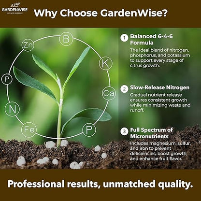Professional Citrus Fertilizer + Vital Micronutrients; Perfect Balanced NPK for All Citrus; for Indoor and Outdoor Plants; Orange, Lime, Avocado and Lemon Tree Fertilizer (20 QUARTS)