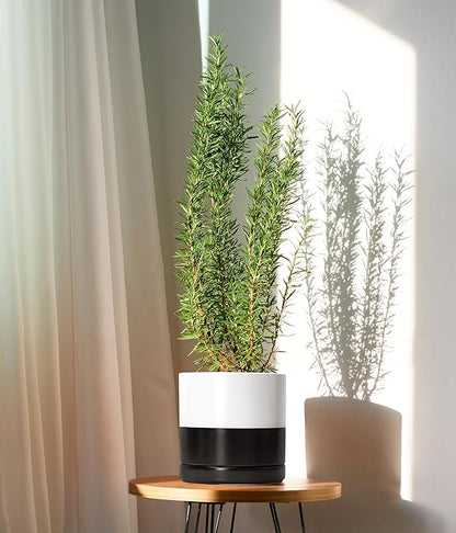 D'vine Dev 8.2 Inch Ceramic Planter Pot with Drainage Hole and Saucer, Indoor Cylinder Round Planter Pot, Layered Monochrome Black & White, 94-O-D-L