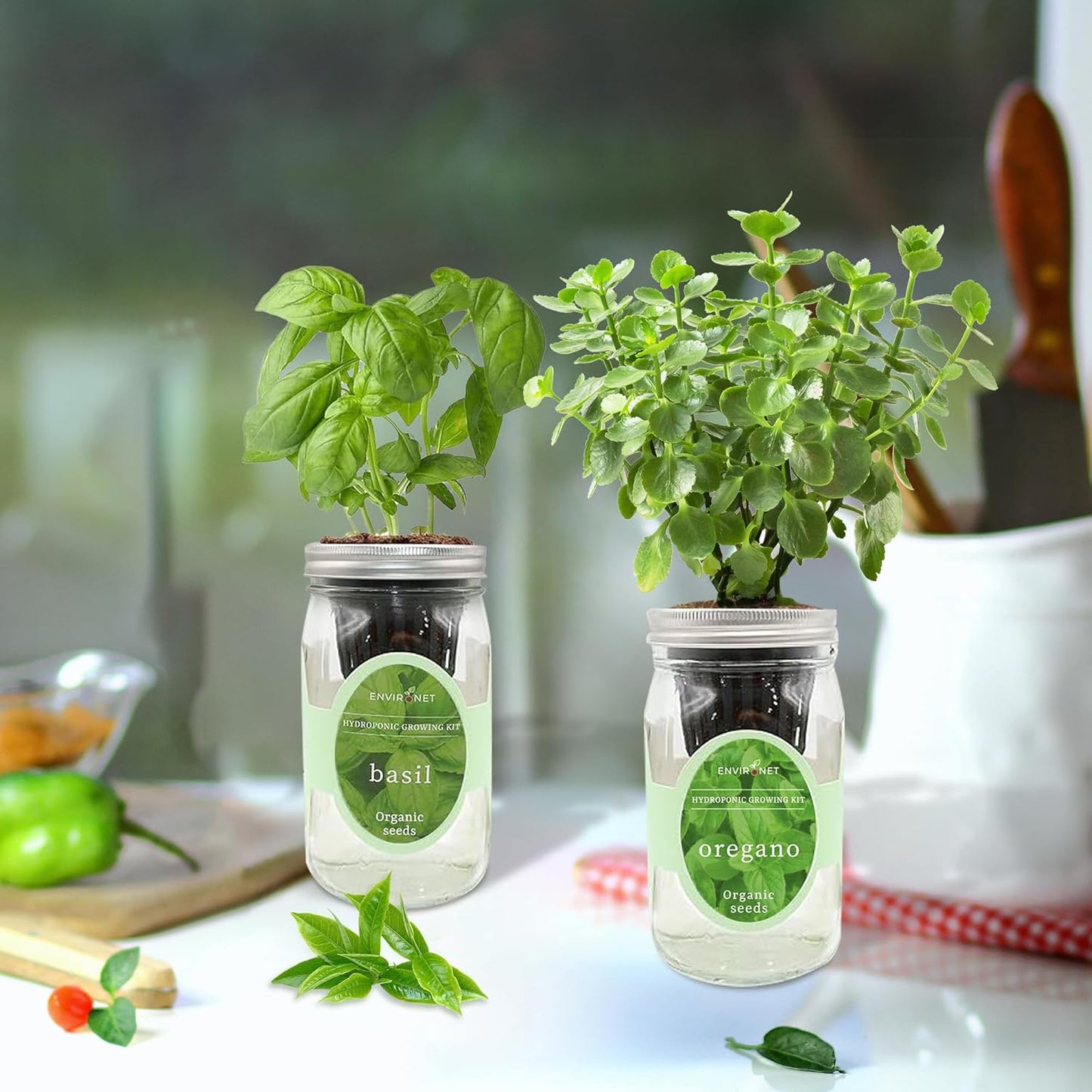 2-Pack Hydroponic Mason Jar Herb Garden Kit, Indoor Herb Garden Self-Watering Starter Kit (Basil,Oregano)
