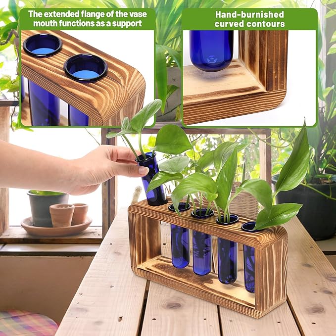 Glass Plant Propagation Station with 5 Test Tubes Colorful Planter Vase Birthday Gifts for Women in Wooden Stand