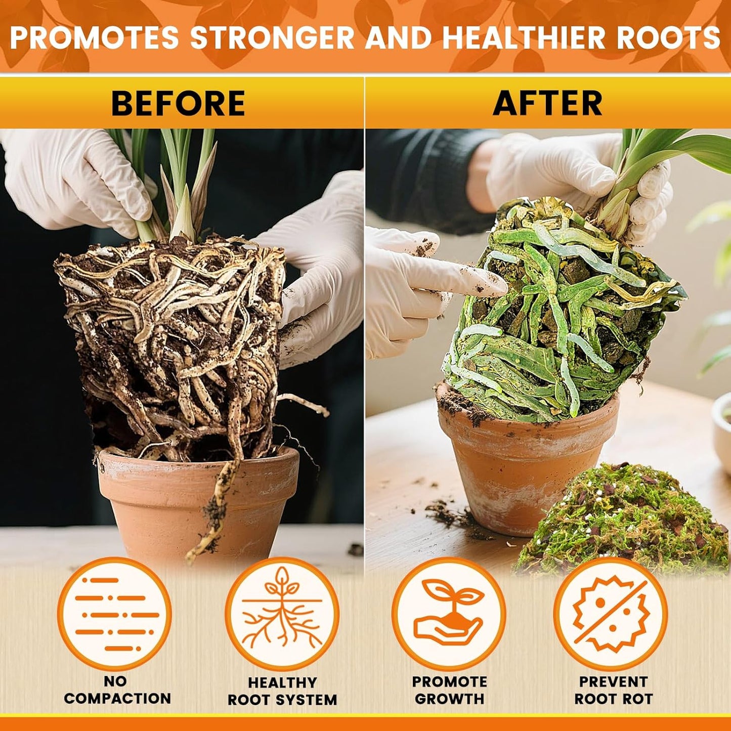 Legigo 2 QT Orchid Potting Mix- Natural Orchid Soil Mix for Repotting with Moss, Pine Bark, Coco Peat and Perlite, Enhanced Drainage Orchid Bark Potting Mix Repotting Kit for Indoor Plant Growth