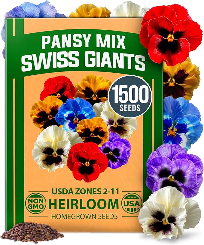 HOME GROWN Pansy Swiss Giants Mix - 1,500 Flower Seeds (2.13g) - Fall Planting Pansies Seed - Edible Viola Seeds - Cold Hardy Annuals for Containers & Outdoor Gardens (Viola × wittrockiana)