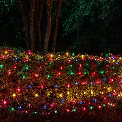 Dazzle Bright Battery Operated 50 LED Mini String Lights (Multi-Colored, 1 Pack)