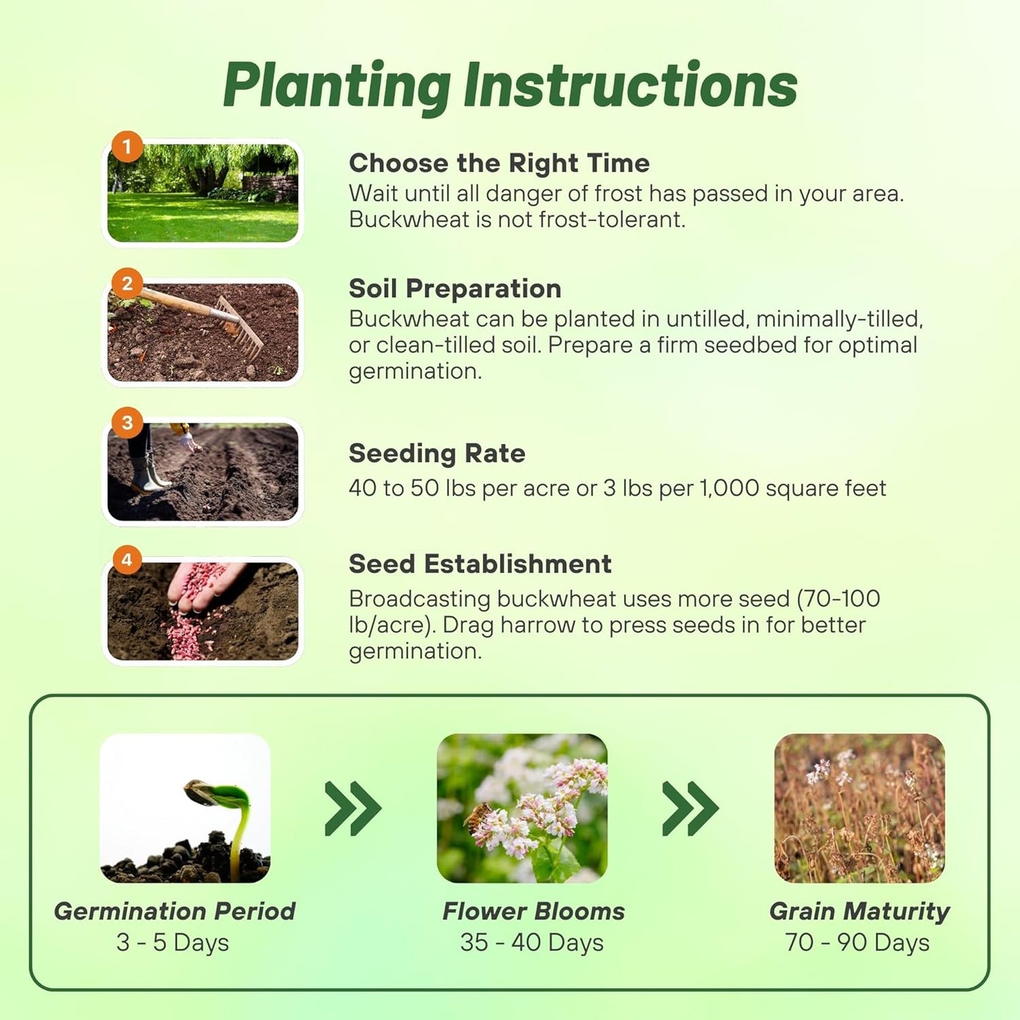 Outsidepride Buckwheat Seeds - 50lbs Annual, Fast-Growing, Easy to Grow Buckwheat Cover Crop Seeds for Green Manure, Bee Pasture & Pollinators, Wildlife Habitat, Soil Improvement, and Erosion Control