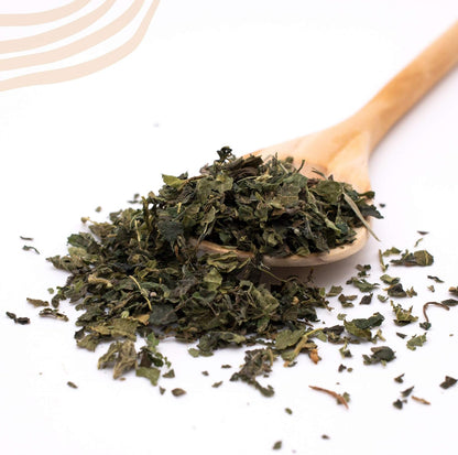 MagJo Naturals Nettle Leaf Tea, 1lb (16Oz) Cut and Sifted: Bulk European Stinging Nettle (Urtica Dioica)