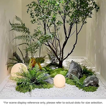 SIDONG 5 LB White River Rocks, 0.3-0.5 Inches Matte Pebbles for Indoor Plants, Aquarium Rocks Used in Fish Tank, Decorative Stones for Plants, Vases, Home Décor, Crafting, Garden Landscaping