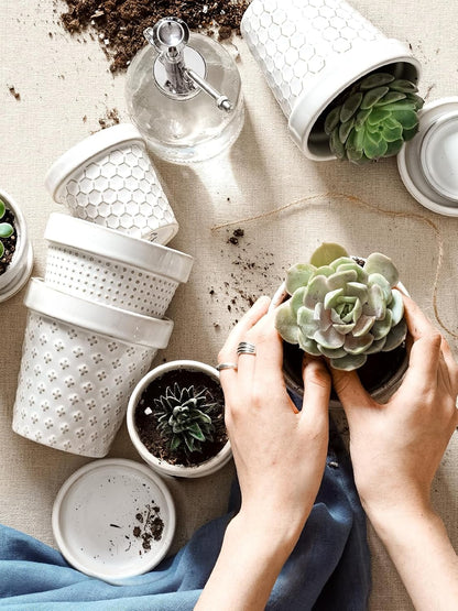 LE TAUCI Ceramic Succulent Pots, 4 Inch Small Plant Pot for Indoor Plant Cactus, Embossed Flower Pots with Drainage Hole & Saucer - Set of 4, Arctic White