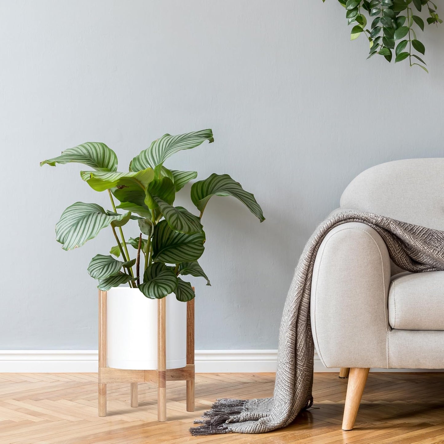 D'vine Dev Planter Pot with Stand - 10 Inch Plastic Cylinder Flower Pot with Wood Planter Holder for Indoor, Matte White Pot + Natural Stand, 55-C-M-1