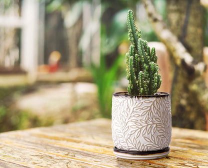 D'vine Dev 4 Inch Embossed Leaves Stoneware Planter Pot with Drainage Hole and Saucer, Smoked White, Set of 1, 27-A-Z-1