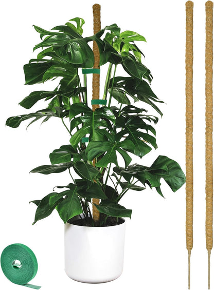 2 Pack Moss pole - 46 Inch Moss Pole Indoor - Monstera Plant Support - Plant Stakes for Indoor Plants - Plant Stiks support Tall - Moss Pole for Climbing Plants support - Monstera Pot - Moss Poles