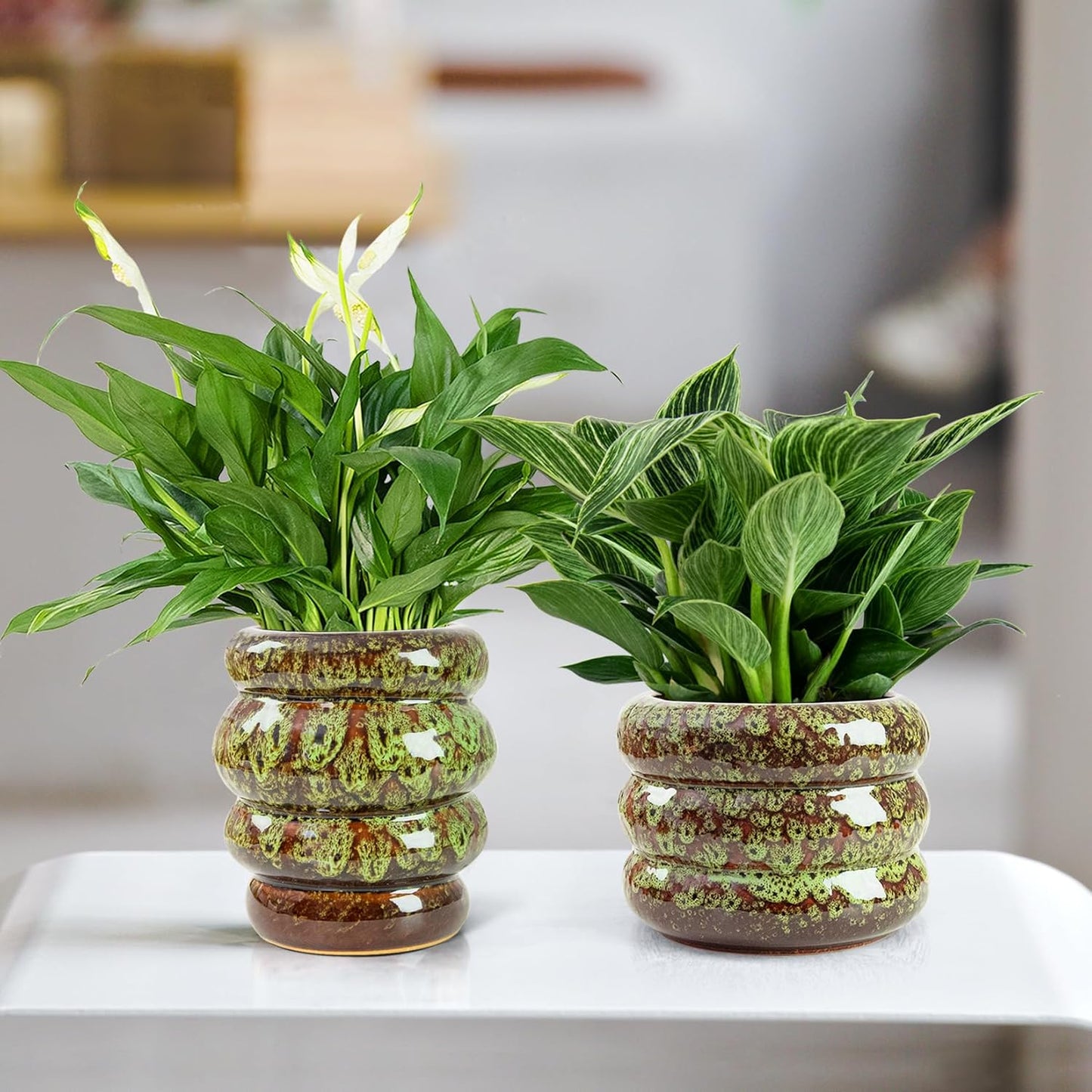 Ceramic 6 inch Plant Pot - Planter for Indoor Plants with Drainage Hole, Flower Pots for Orchid, Succulent,Outdoor Plants, Modern Glaze Planters for Home Office Decor Gift