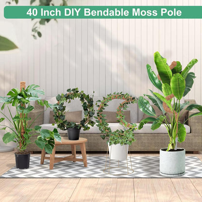 2 Pack Moss Pole, 40 Inch Monstera Plant Support, Moss Poles for Climbing Plants Indoor DIY, Coco Coir Plant Pole Moss Plant Stick Support Stake Kit for Potted Plants, Pothos, Philodendron