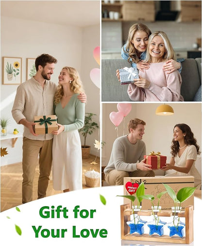 Nacome Star Glass Propagation Stations: Plant Terrarium with Wooden Stand Vase for Home Office Desk Decor, Unique Gifts for Plant Lovers Women Mom