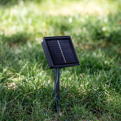 Novelty Lights 50 Light Solar Powered LED Outdoor Mini Light String, 12.5 Feet on White Wire, Warm White 5mm Bulbs, Automatic Dusk to Dawn Operation