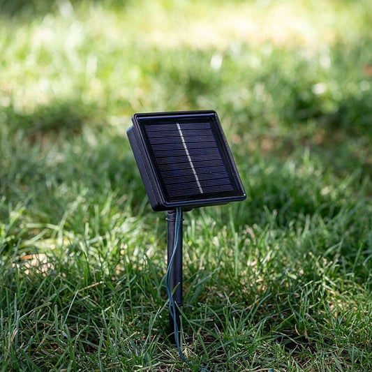 Novelty Lights 50 Light Solar Powered LED Outdoor Mini Light String, 12.5 Feet on White Wire, Warm White 5mm Bulbs, Automatic Dusk to Dawn Operation