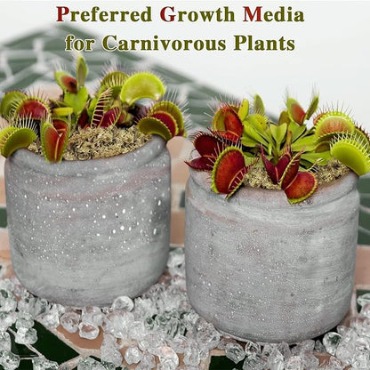 Halatool 4QT Premium Sphagnum Moss for Indoor Plants, Orchid Moss Potting Mix - Natural Sphagnum Moss for Succulents, Carnivorous(Sarracenia), Monstera, Terrarium Substrate & Reptile Habitats