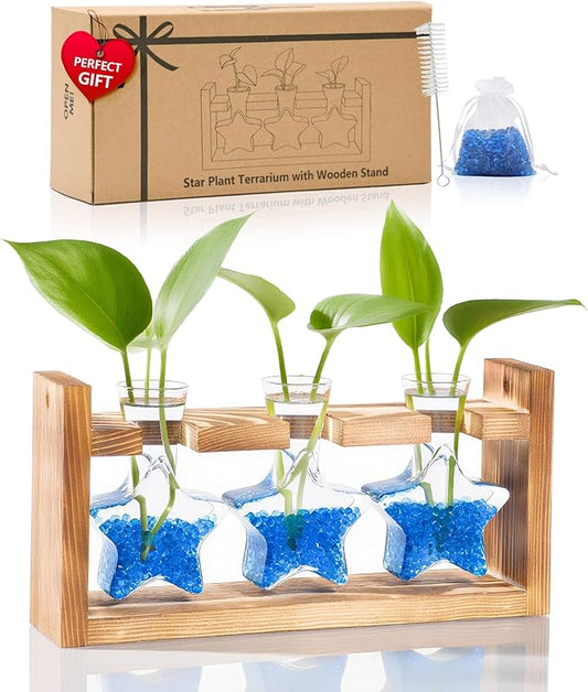 Nacome Star Glass Propagation Stations: Plant Terrarium with Wooden Stand Vase for Home Office Desk Decor, Unique Gifts for Plant Lovers Women Mom