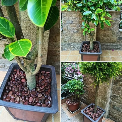 20lbs Red River Rocks for Landscaping, 2-3 Inch Natural Pebbles for Indoor Plants, High Polished Decorative Stones Vase Filler Fish Tank Aquariums Garden