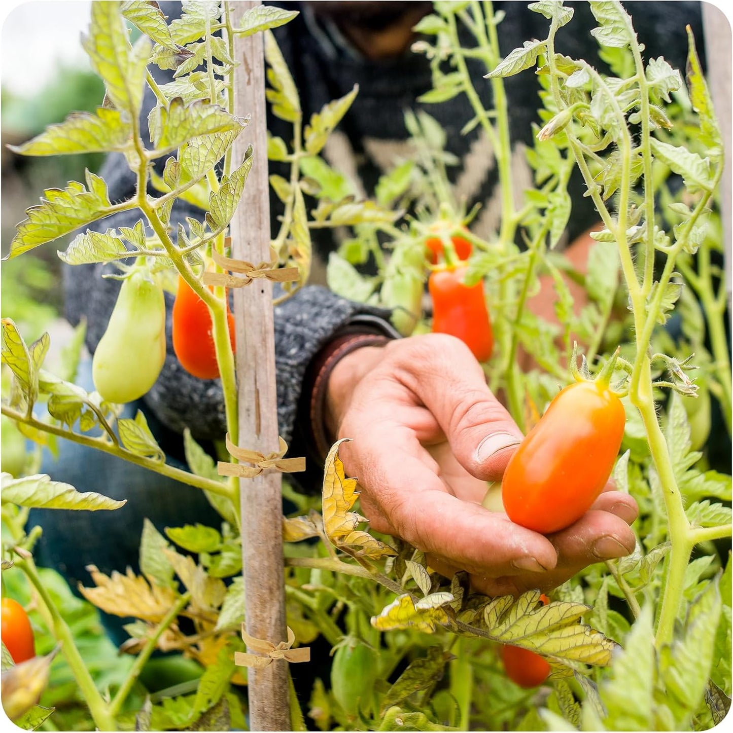 200PCS 4 Inch Kraft Paper Twist Ties, Reusable Cable Ties for Tying Bread, Plant Support, Bread Packaging, Candy Bags and Craft Projects (Brown)