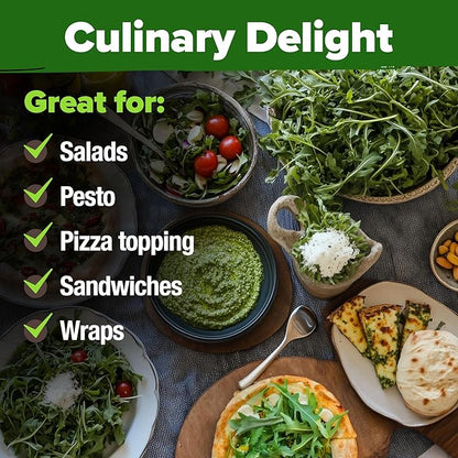 HOME GROWN 𝗨𝗦𝗔 𝗣𝗥𝗘𝗠𝗜𝗨𝗠 Arugula Roquette Seeds Pack 2,175 𝗡𝗢𝗡-𝗚𝗠𝗢 Heirloom Arugula Seeds for Planting Best for Outdoor Gardens,Providing Fast-Growing Greens for Salads - Eruca vesicaria