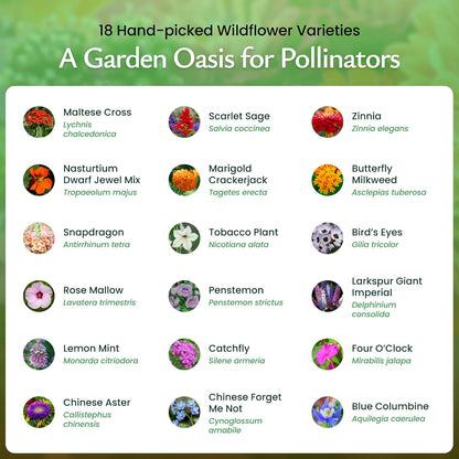 Created By Nature Hummingbird & Butterfly Wildflower Seed Mix, 18 Varieties, 60,000 Wildflower Seeds