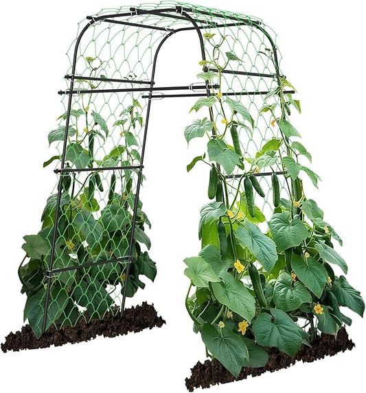 Garden Arch Plant Trellis for Climbing Plants Outdoor, Cucumber Trellis for Raised Bed, Grape Metal,Arbor Trellis Plant Support Flower Vegetables,Tomato Black,6.7FT Rust-Proof