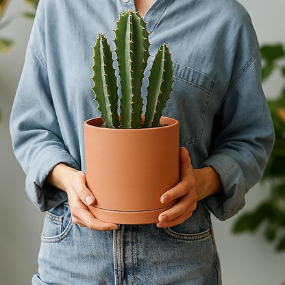 D'vine Dev Small 6 Inch Terracotta Plant Pot with Drainage Hole and Saucer, Round Cylinder Planter Pot for Indoor Plants, Set of 2, 40-X-B-3