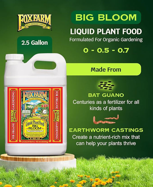 FoxFarm - Big Bloom Plant Food, Liquid Fertilizer Concentrate for Flowers, Fruits, and Vegetables, All Purpose Plant Fertilizer for Indoor & Outdoor Potted Plants, NPK 0-0.5-0.7 (2.5 Gallon)