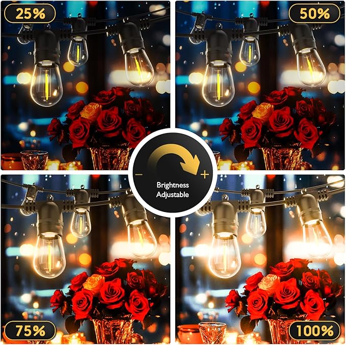 S14 Solar String Lights Outdoor with Remote 60 FT, USB & Solar Dual Charging, Waterproof, 8 Modes 3 Timers, 20+2 LED Shatterproof Bulbs, Dimmable Solar Light for Camping Backyard Bistro Porch Garden