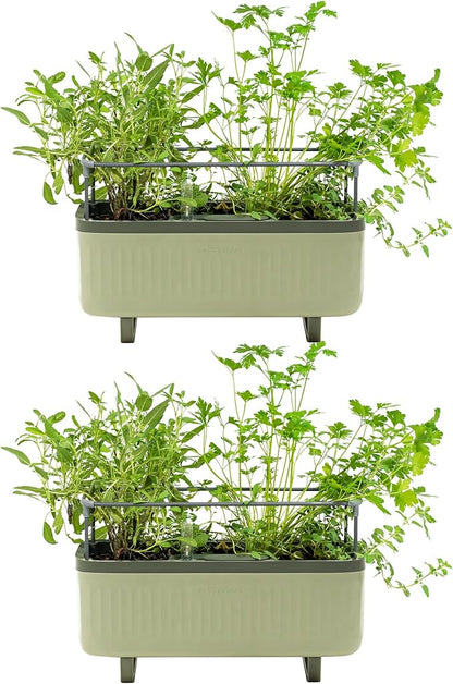 Vego Garden 2 Pack Herb Indoor Plant Box, Self Watering Planters Pots with Trellis for Kitchen Window Sill or Countertop Plants Cage - Sage Green