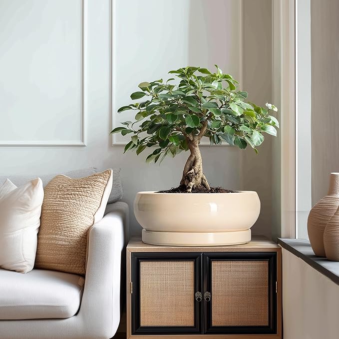 Large Succulent Planters - 13 Inch Ceramic Bonsai Pots Indoor Outdoor, Shallow Planter with Drainage Hole and Tray, Round Planter Bowl, Large Bonsai Pot, Home Decor, Housewarming Gift, Beige