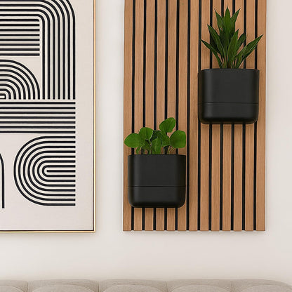Phoenix Vine 6.5-Inch Wall Mounted Self-Watering Planter Pot for Indoor Houseplants and Herbs | Modern Hanging Planter for Window Sills, Bathroom Walls, Home & Office Décor, Black, Set of 1, 01-WP-B-1
