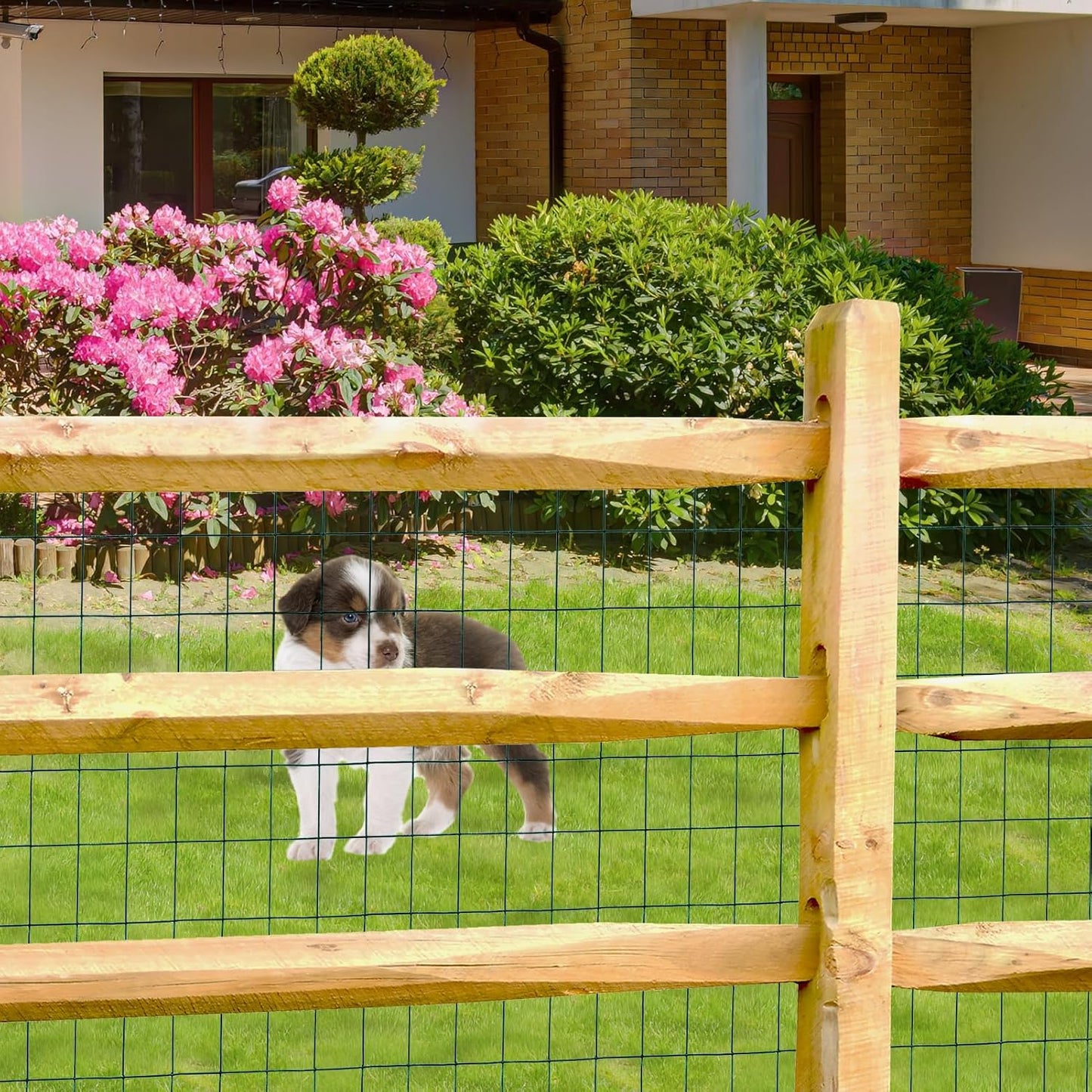 Green PVC Coated Welded Wire Fence 24 Inch x 50 Foot, 2 Inch x 3 Inch 16GA, Garden Border Fencing Roll Vinyl Coating Metal Wire Mesh for Yard Vegetable Plant Protection Poultry Netting